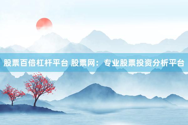 股票百倍杠杆平台 股票网：专业股票投资分析平台