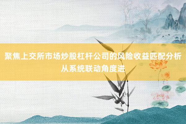 聚焦上交所市场炒股杠杆公司的风险收益匹配分析从系统联动角度进