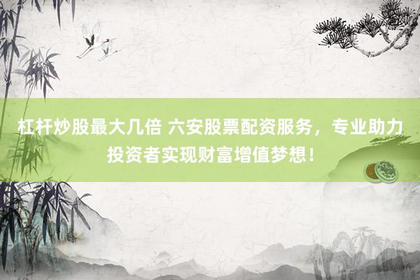 杠杆炒股最大几倍 六安股票配资服务，专业助力投资者实现财富增值梦想！