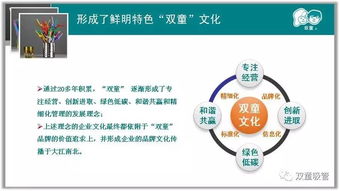 双童 楼仲平 受邀省市名牌申报培训班,与200名企业主分享企业品牌的建设和传播