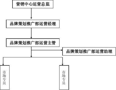 品牌策划推广部组织架构规划方案1.0